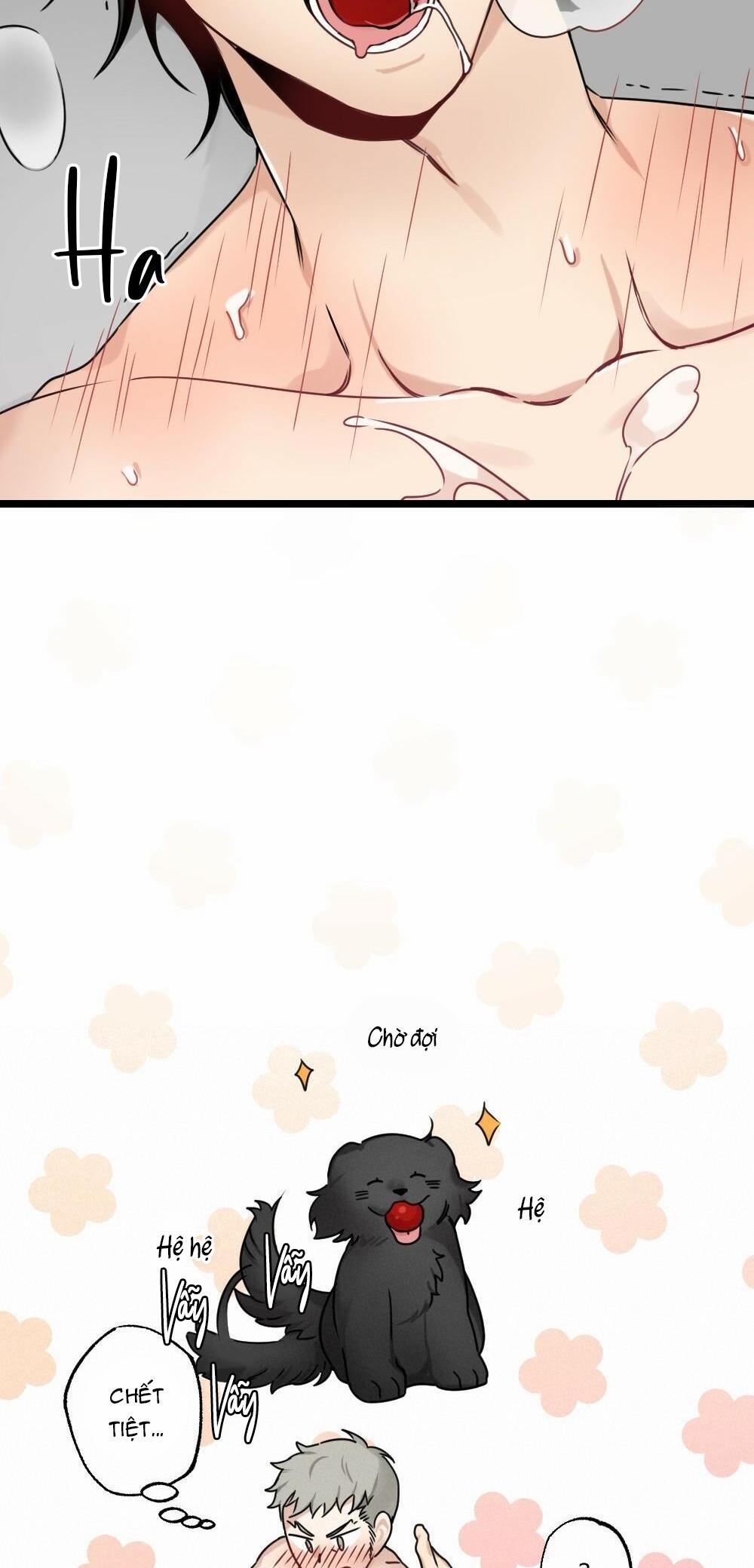 CHĂM SÓC 23 trang 5