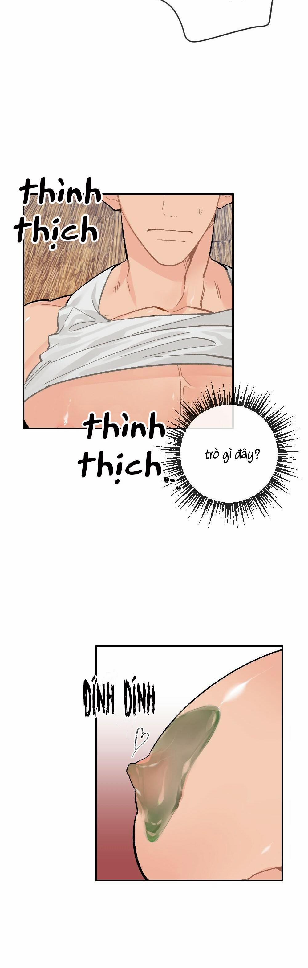 CHĂM SÓC 5 trang 19