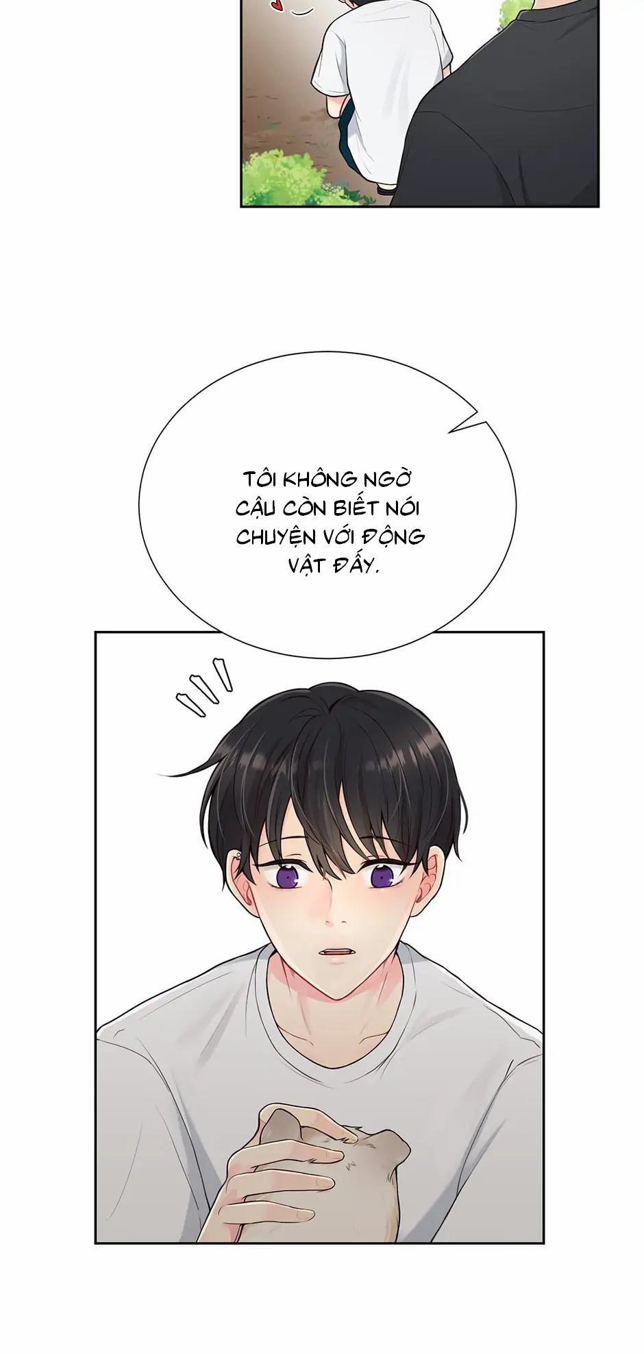 Chân dung về một gã tồi tệ 14 trang 11