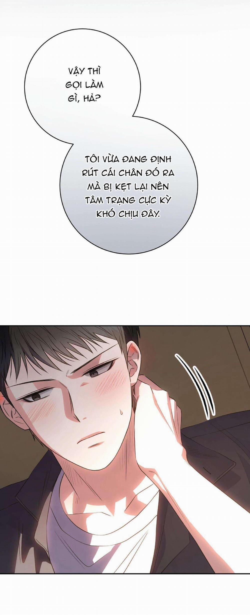 Chán Ghét 19 trang 35