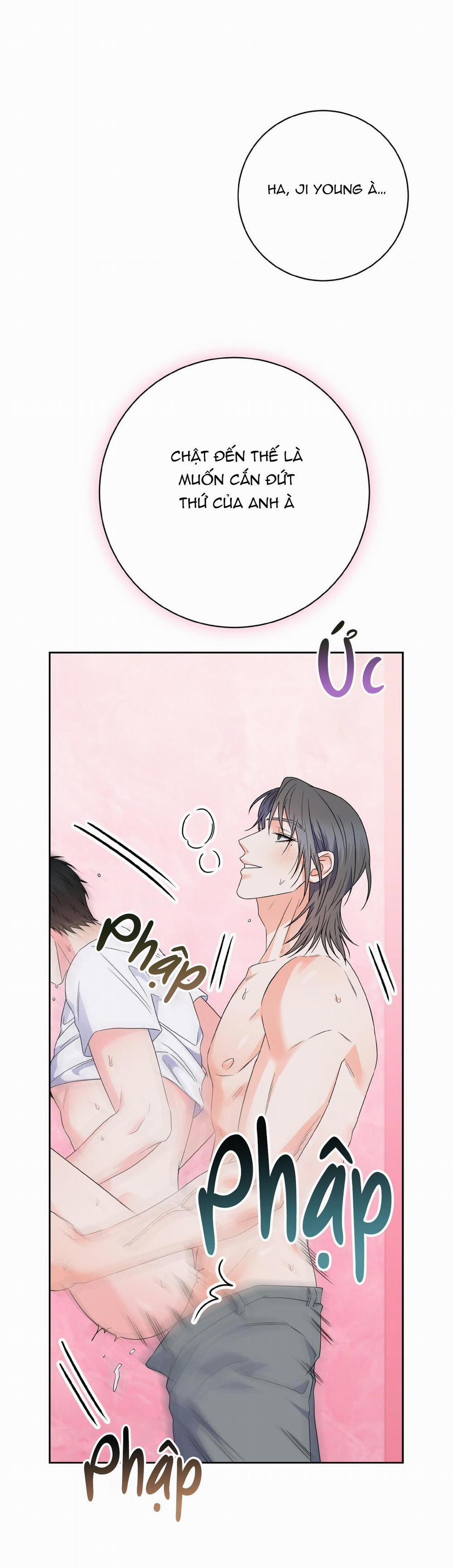 Chán Ghét 26 Đặc biệt 2 trang 43