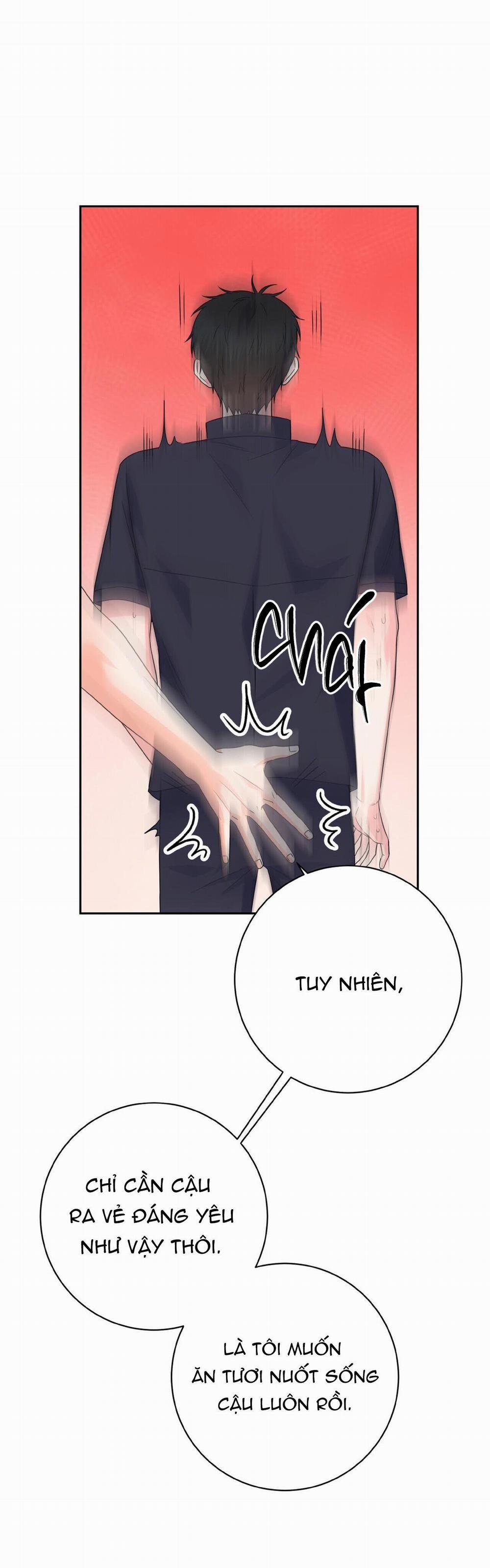 Chán Ghét 28 trang 24