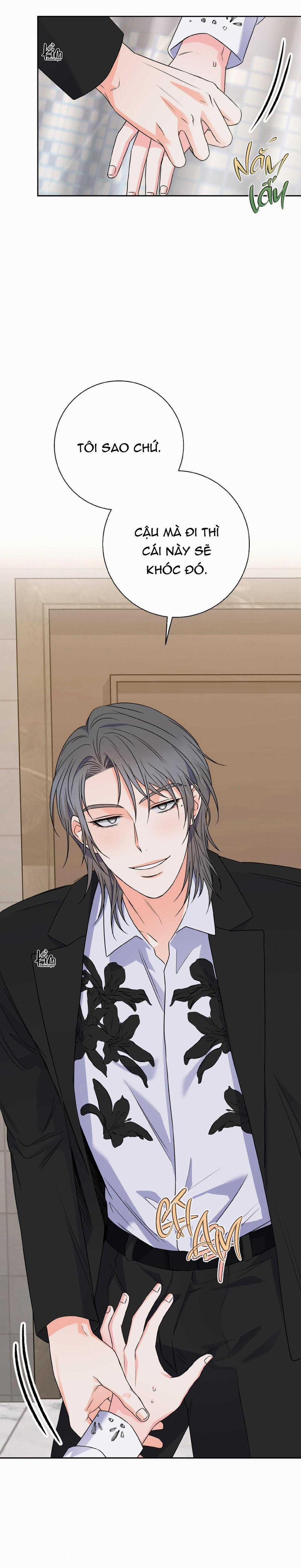 Chán Ghét 30 trang 19