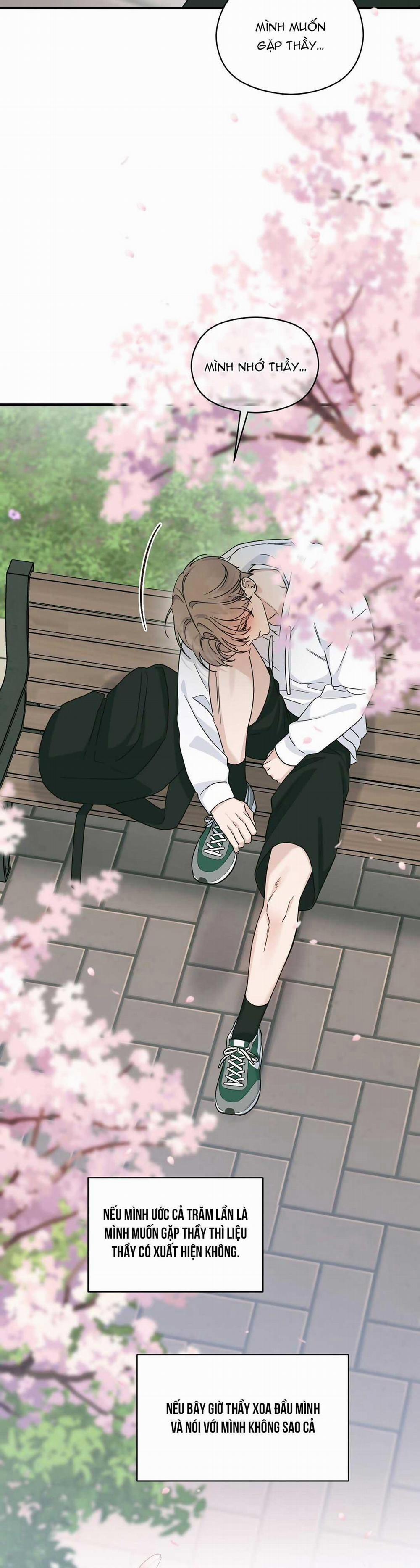 CHẤN THƯƠNG ALPHA 14 trang 3