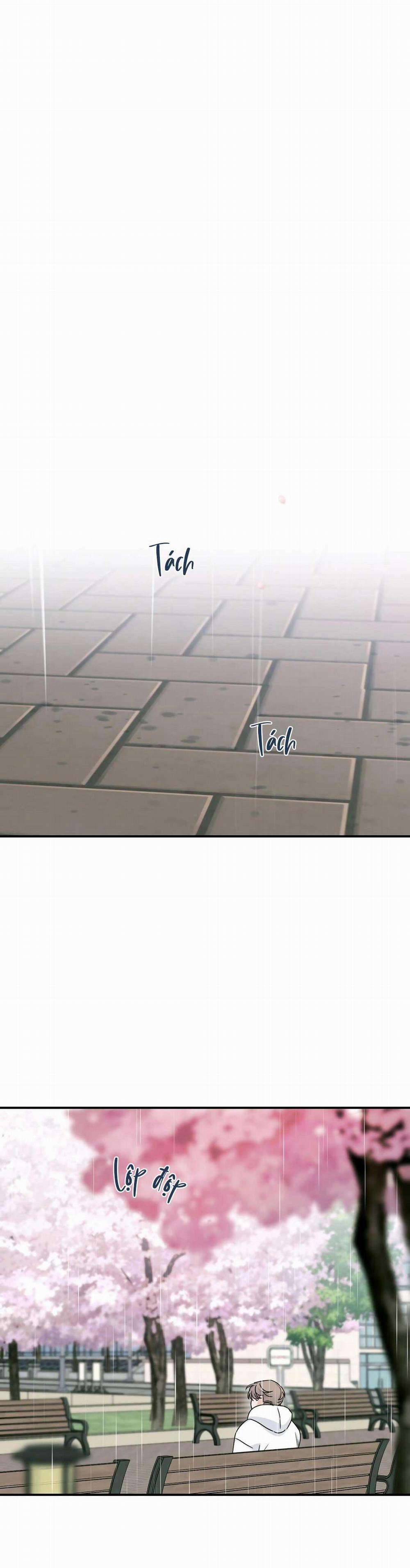 CHẤN THƯƠNG ALPHA 14 trang 5