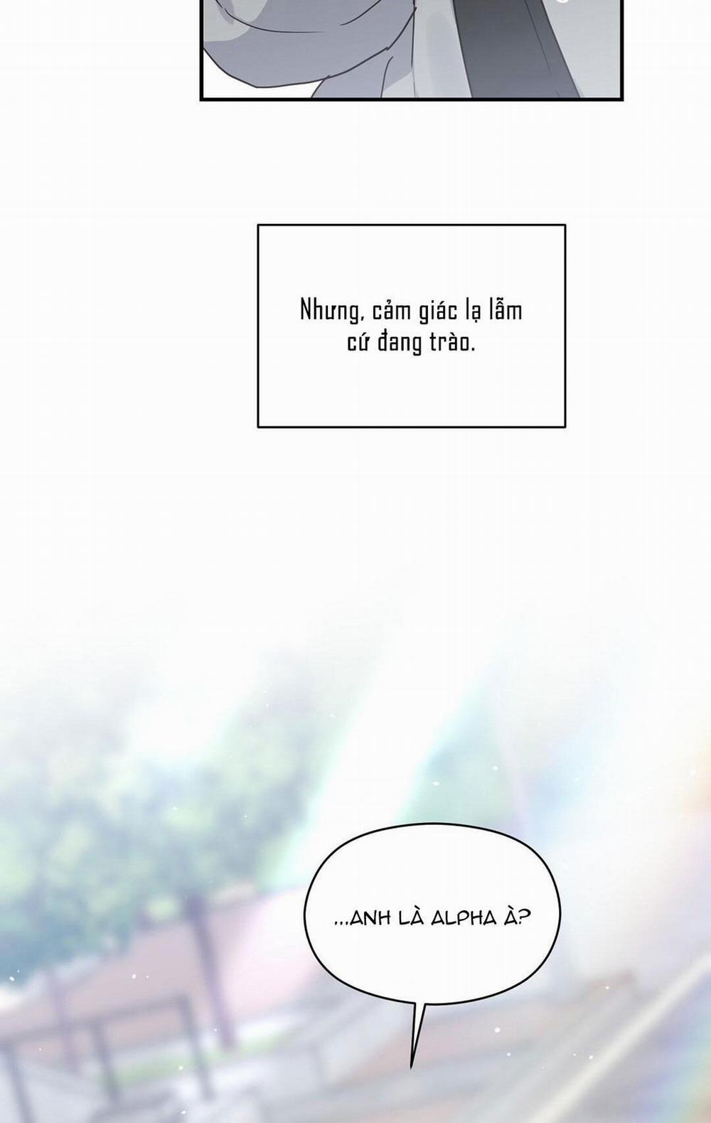 CHẤN THƯƠNG ALPHA 2 trang 41