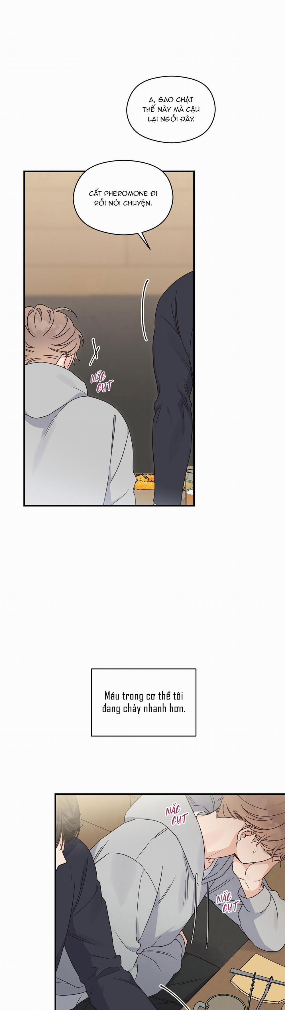 CHẤN THƯƠNG ALPHA 3 trang 25