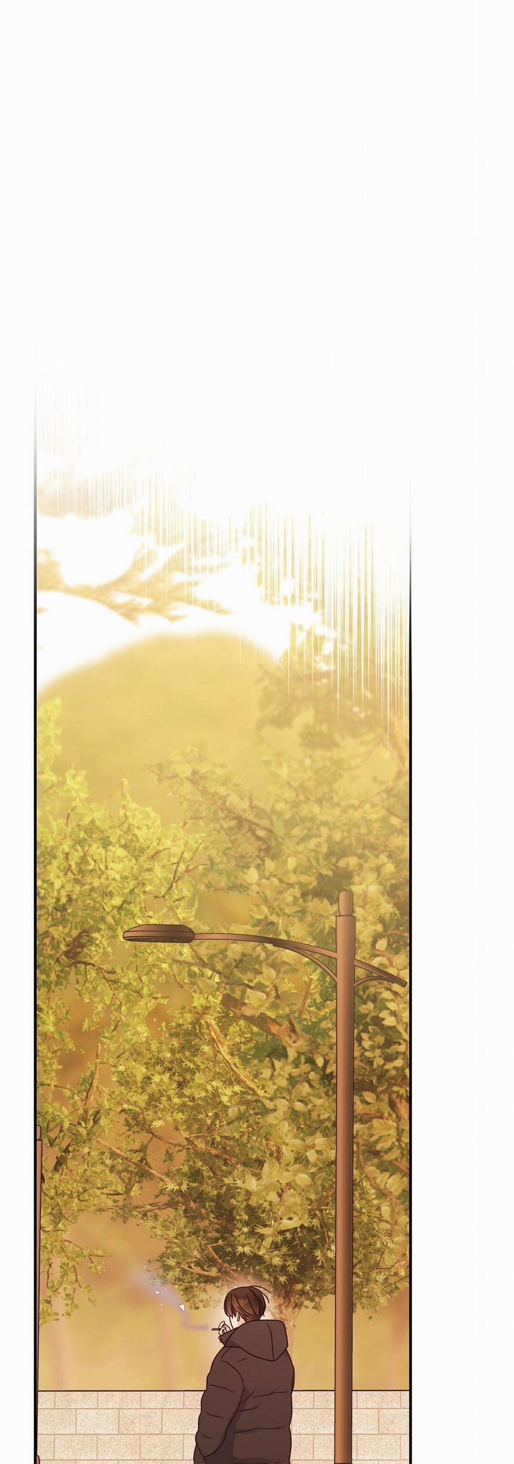 CHẤN THƯƠNG ALPHA 8 trang 5