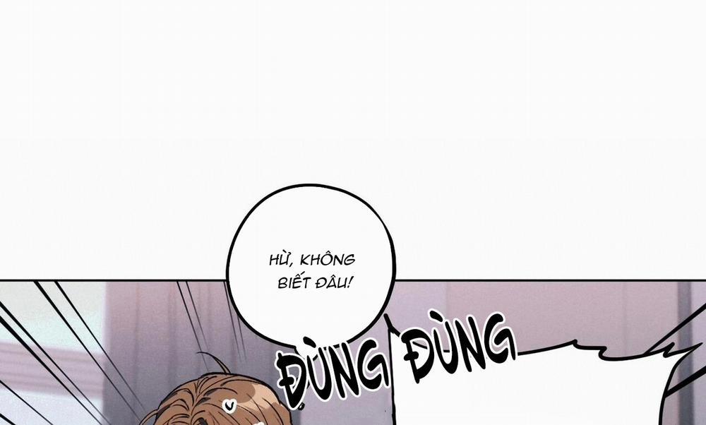 Chàng Dâu Nhà Họ Kang 20 trang 50