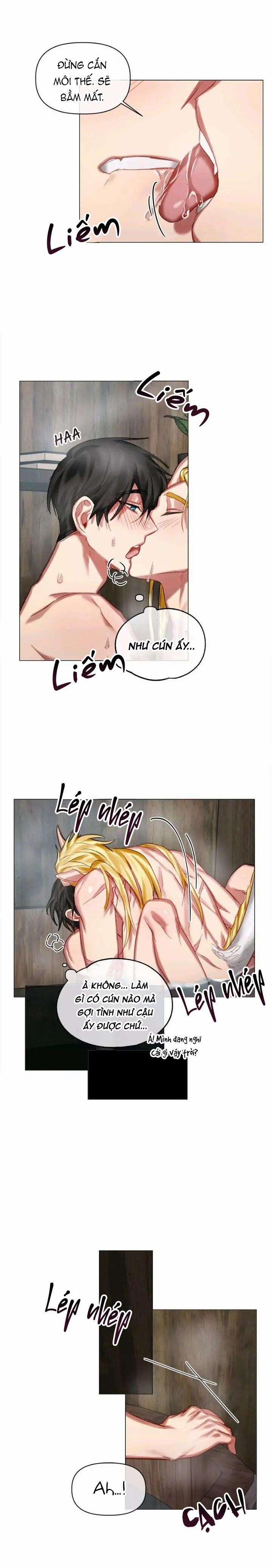 Chàng Hiệp Sĩ Và Rồng Vàng 0 0 17 trang 5