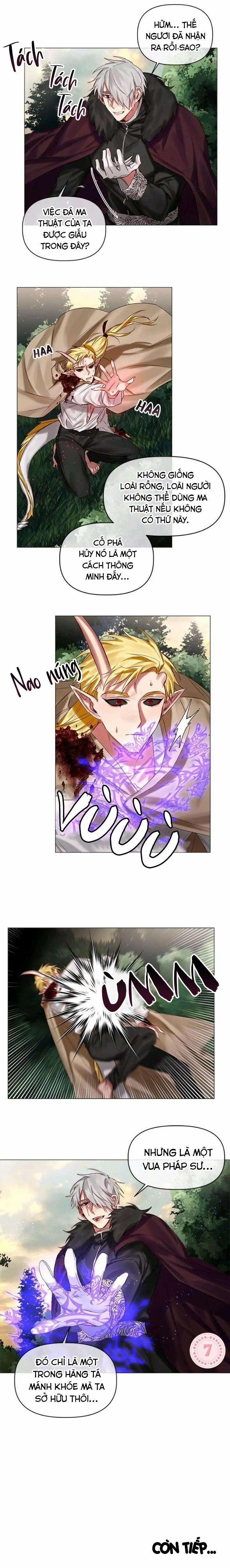 Chàng Hiệp Sĩ Và Rồng Vàng 25 trang 11