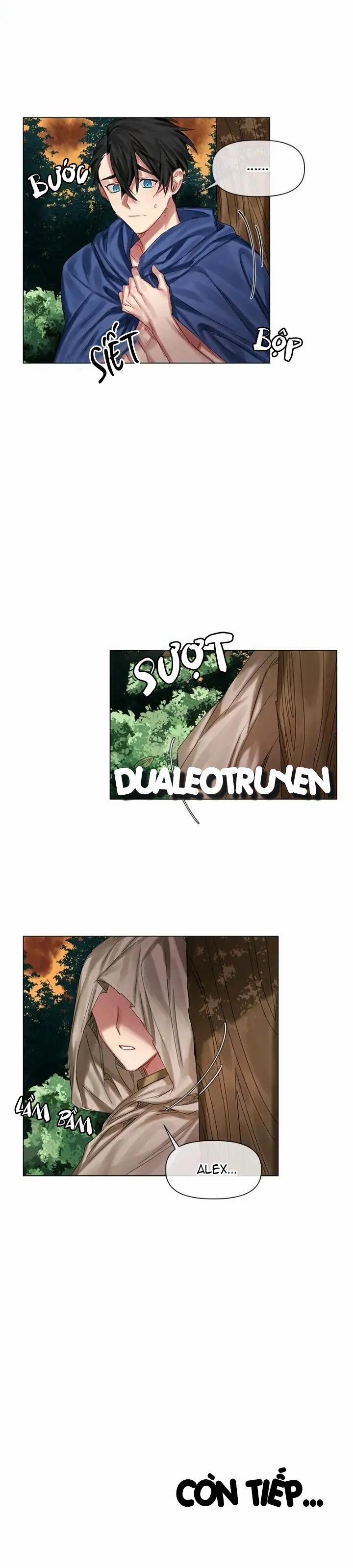 Chàng Hiệp Sĩ Và Rồng Vàng 8 trang 12