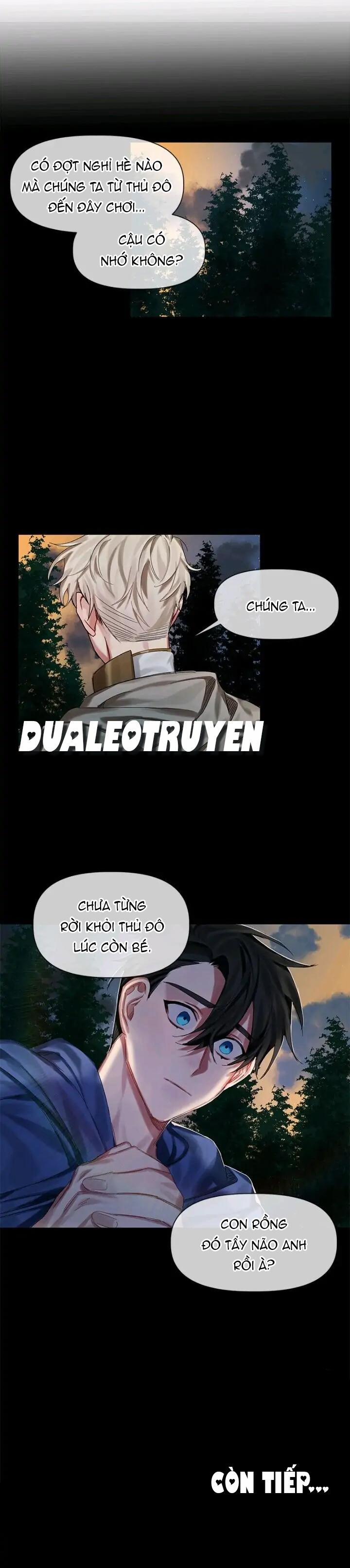 Chàng Hiệp Sĩ Và Rồng Vàng 9 trang 12