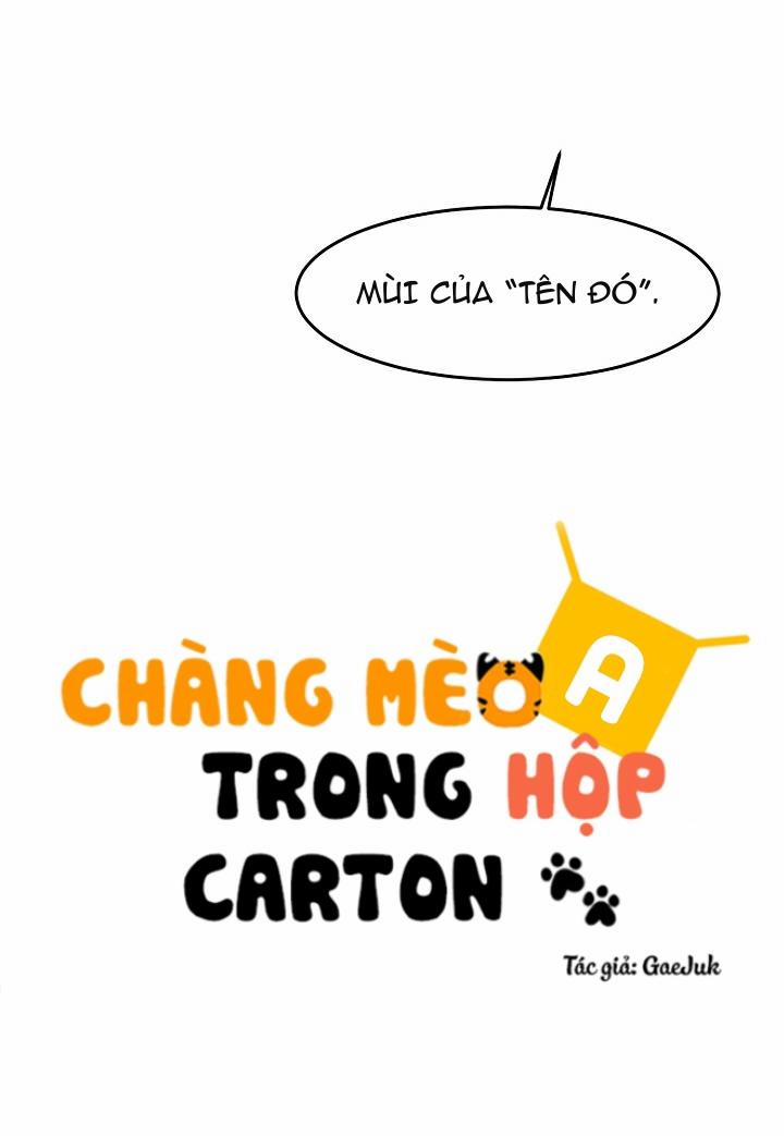 Chàng Mèo Trong Hộp Carton 17.2 trang 11
