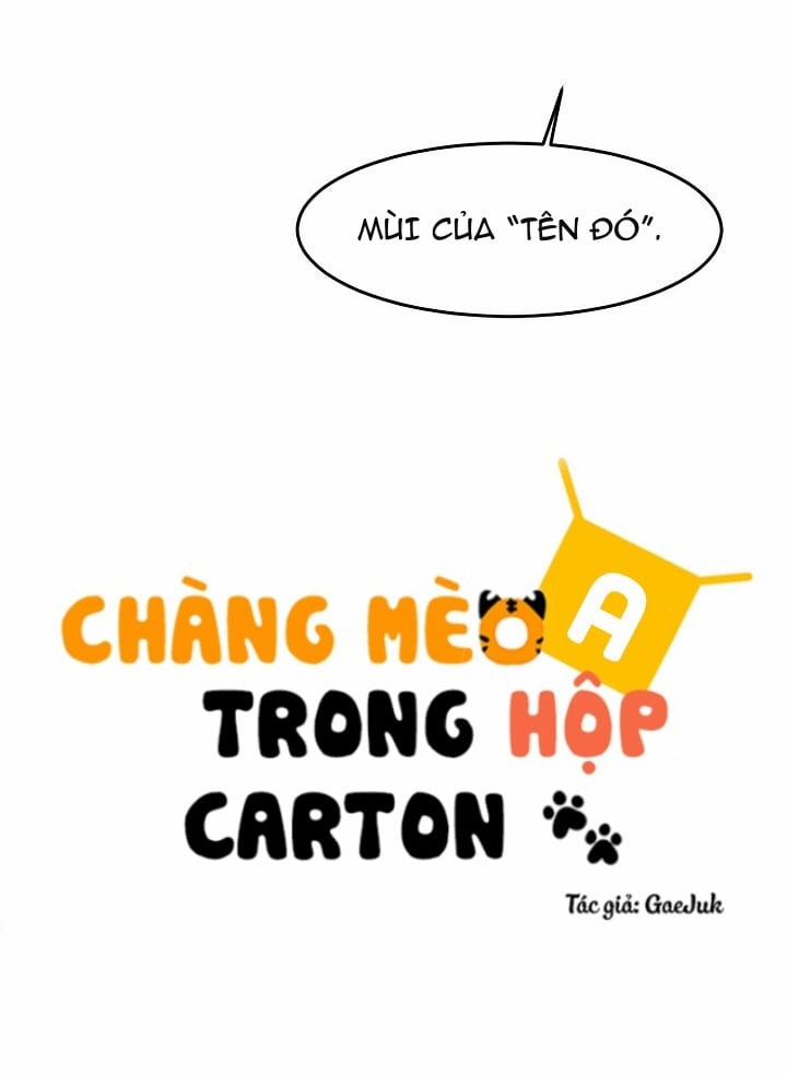 Chàng Mèo Trong Hộp Carton Chương 17 Trang 49