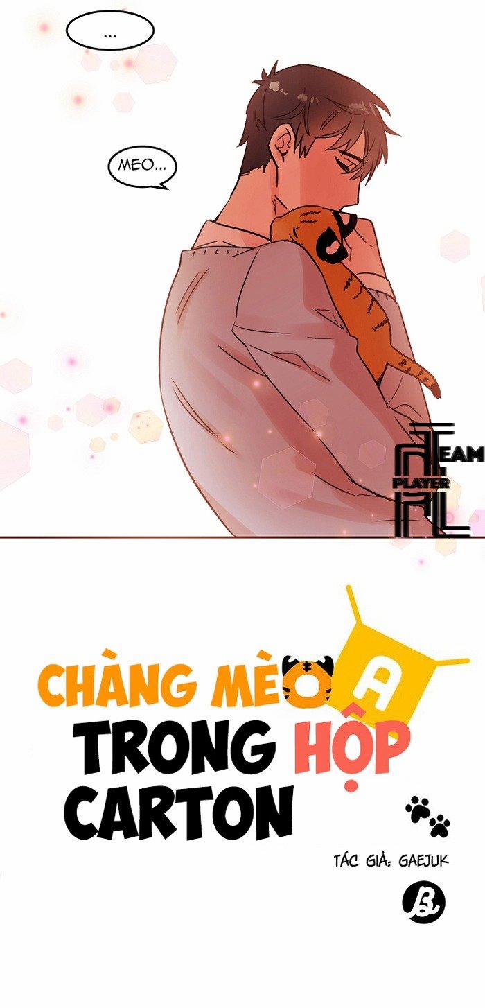 Chàng Mèo Trong Hộp Carton Chương 18 Trang 47