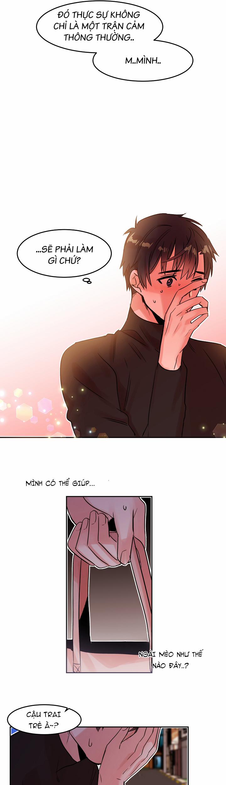 Chàng Mèo Trong Hộp Carton 19.2 trang 2