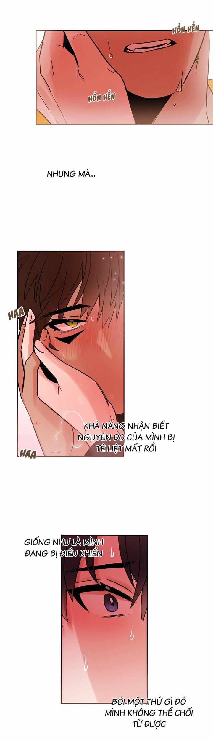 Chàng Mèo Trong Hộp Carton 20.1 trang 9