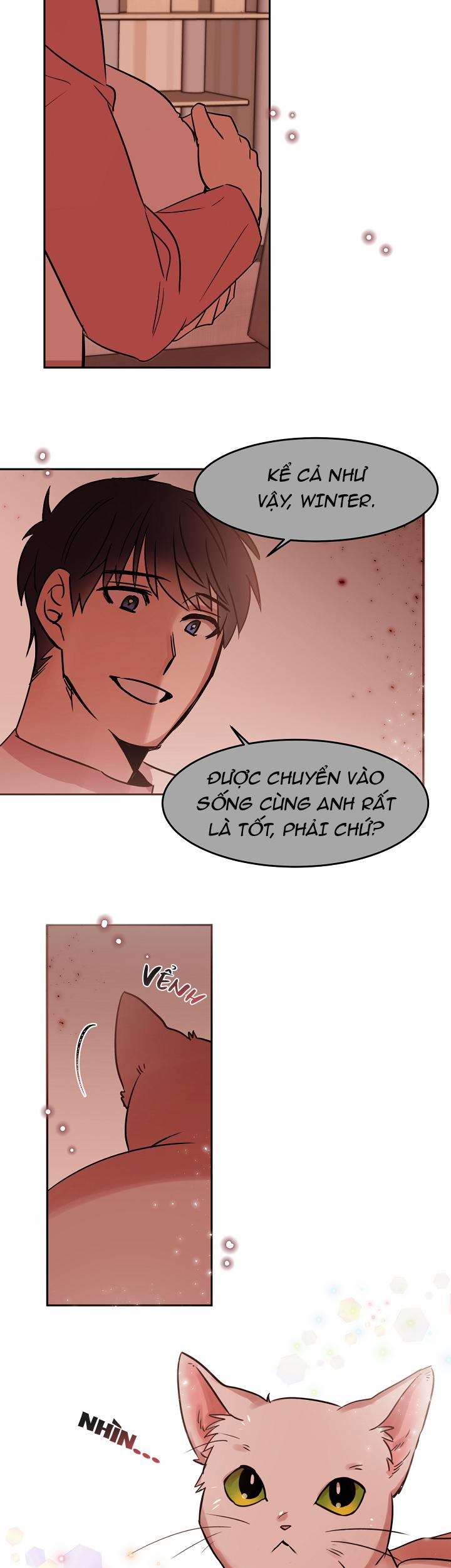 Chàng Mèo Trong Hộp Carton 27.1 trang 7