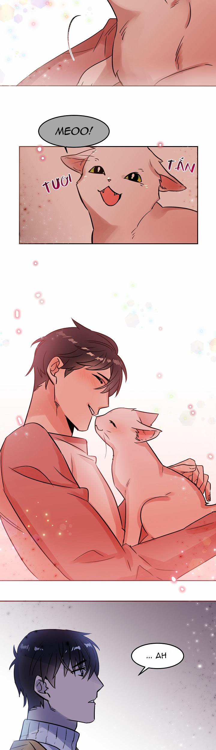 Chàng Mèo Trong Hộp Carton 27.1 trang 8