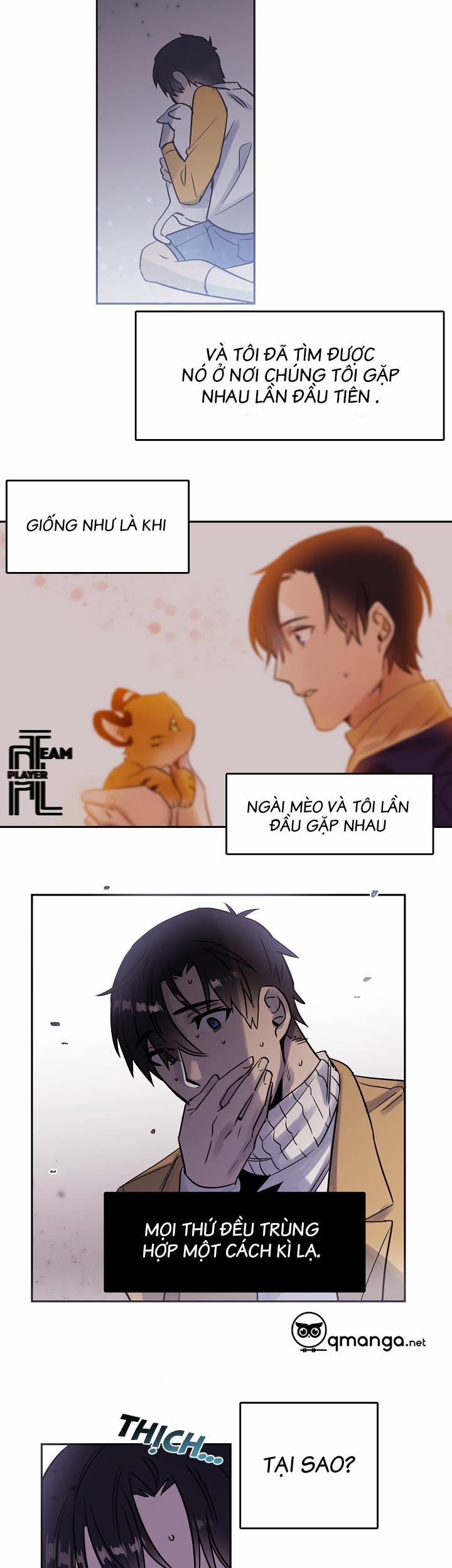 Chàng Mèo Trong Hộp Carton 27.2 trang 6