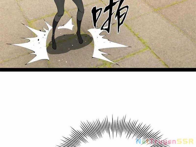 Chàng Rể Mạnh Nhất Lịch Sử 206 trang 13