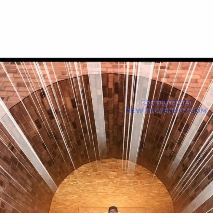 Chàng Rể Mạnh Nhất Lịch Sử 269 trang 11