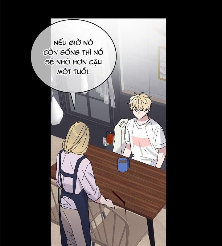 Chàng Tuấn Mã Của Tôi 13 trang 56