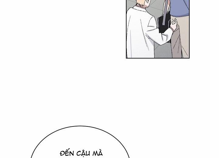 Chàng Tuấn Mã Của Tôi 19 trang 11