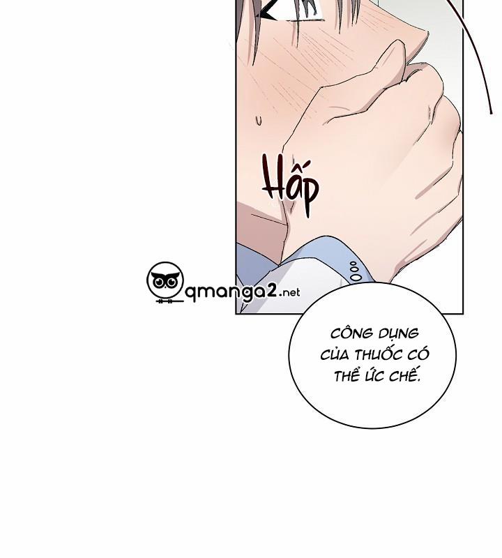 Chàng Tuấn Mã Của Tôi 20 trang 42