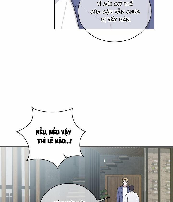 Chàng Tuấn Mã Của Tôi 21 trang 12