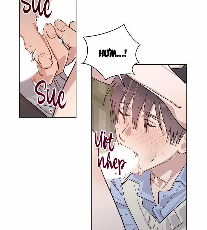 Chàng Tuấn Mã Của Tôi 22 trang 47