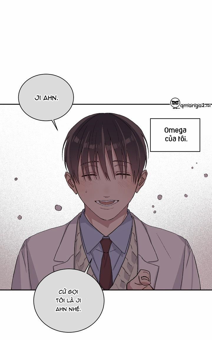 Chàng Tuấn Mã Của Tôi 22 trang 96