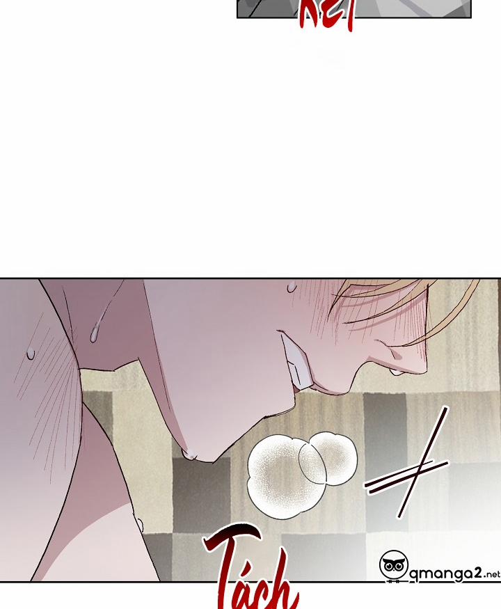 Chàng Tuấn Mã Của Tôi 23 trang 8