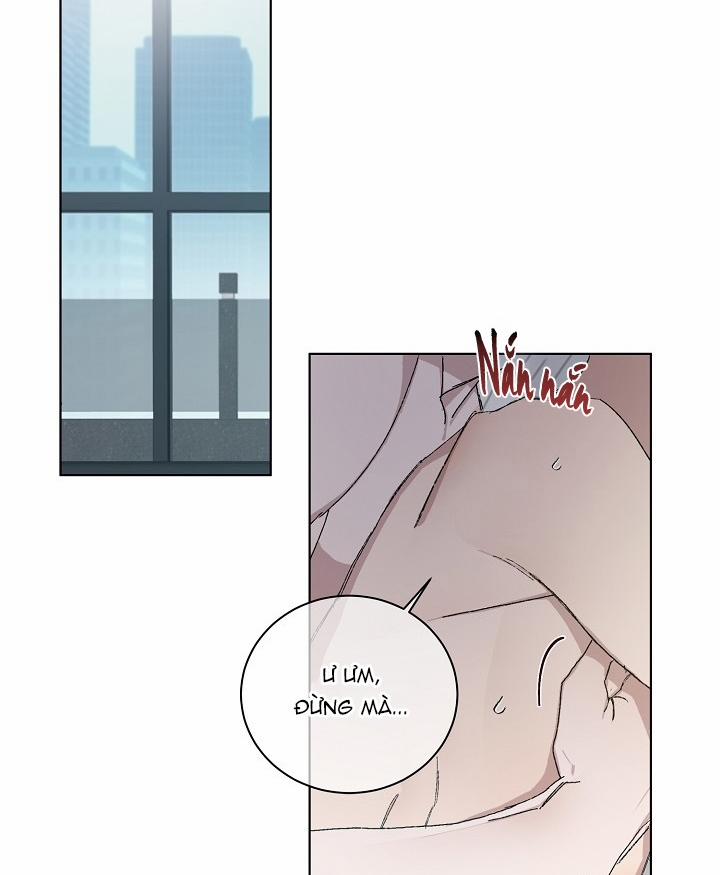 Chàng Tuấn Mã Của Tôi 24 trang 3