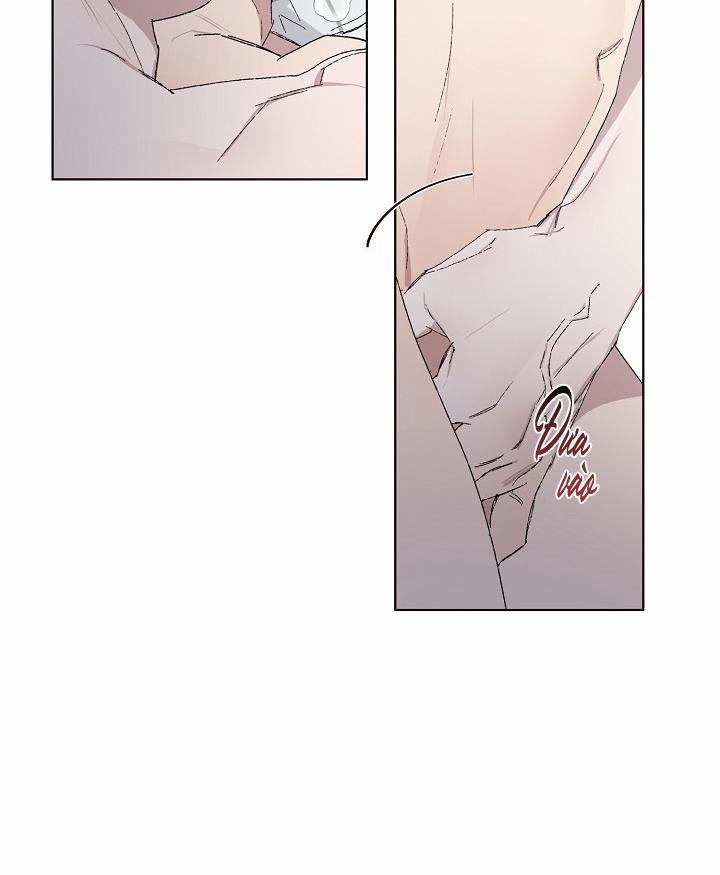 Chàng Tuấn Mã Của Tôi 24 trang 7