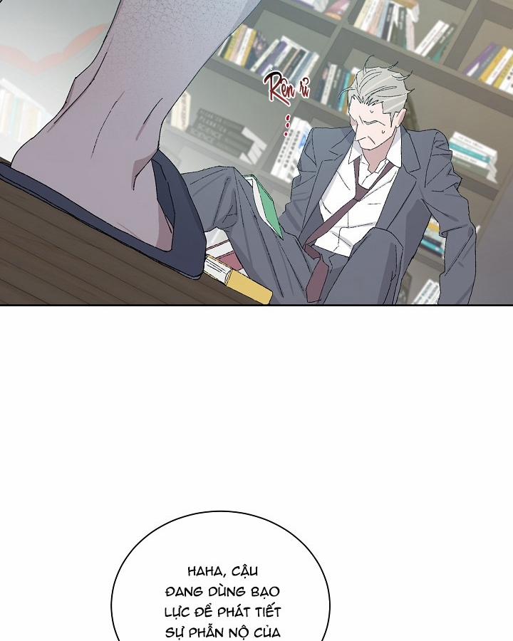 Chàng Tuấn Mã Của Tôi 26 trang 24