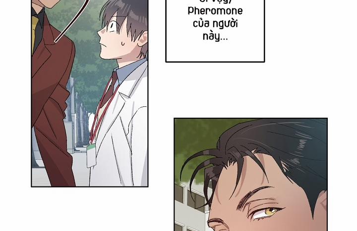 Chàng Tuấn Mã Của Tôi 27 trang 77