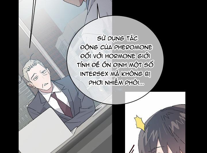 Chàng Tuấn Mã Của Tôi 29 trang 20