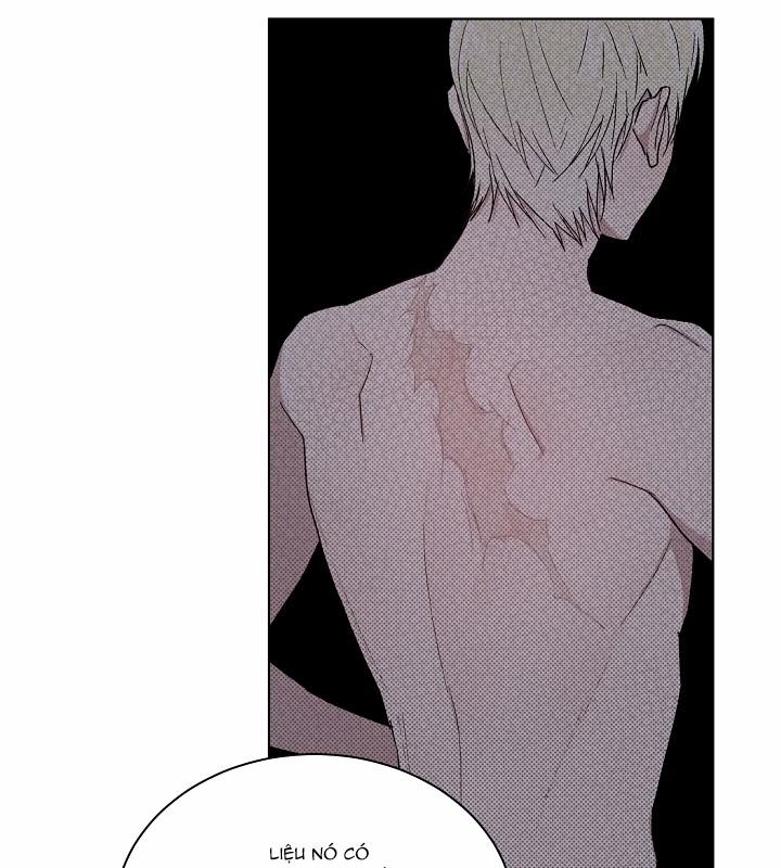 Chàng Tuấn Mã Của Tôi 33 trang 41