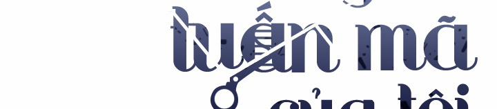 Chàng Tuấn Mã Của Tôi 9 trang 101