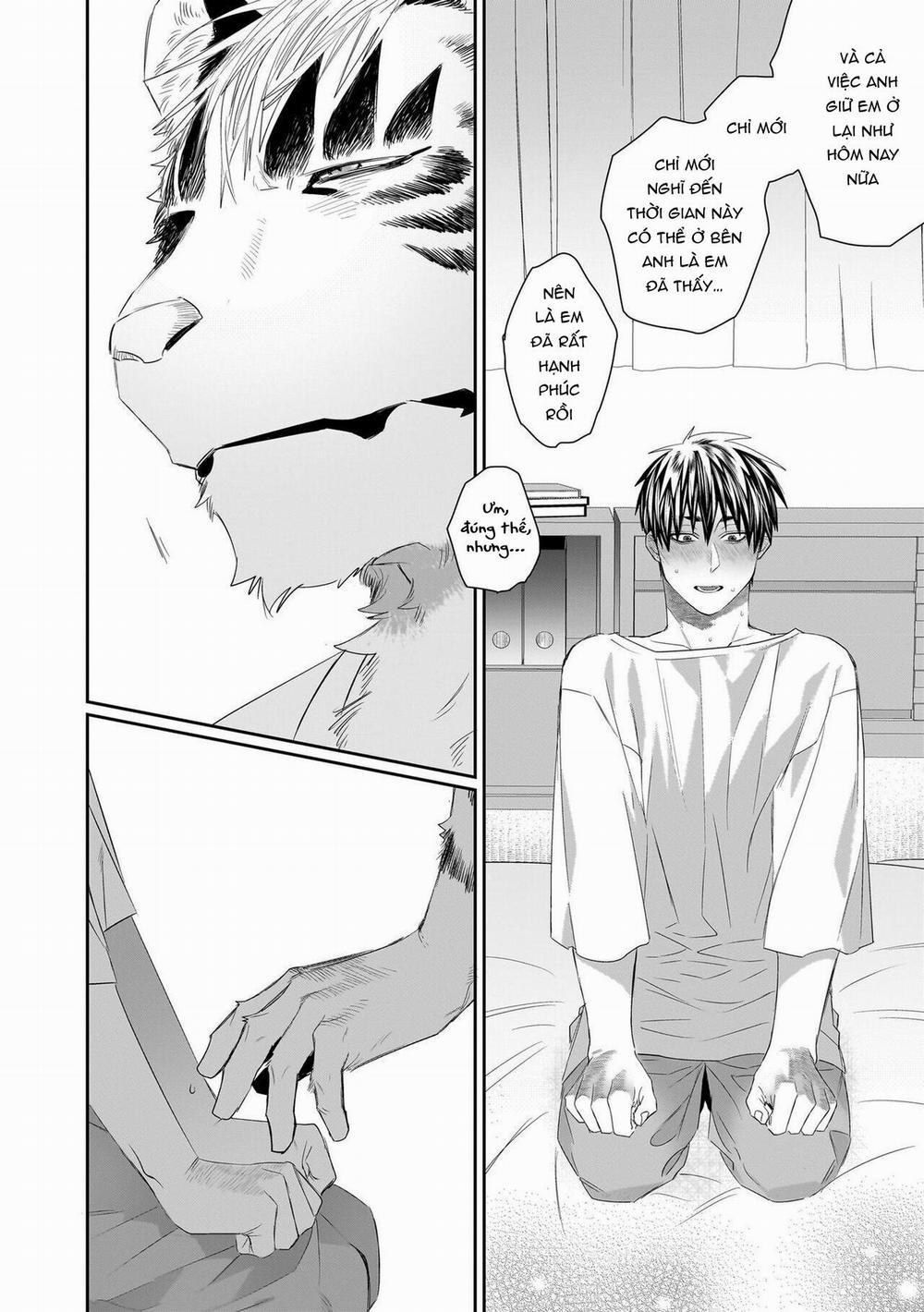 Chào Mừng Tới Văn Phòng Thám Tử Torano 7 H+ trang 10