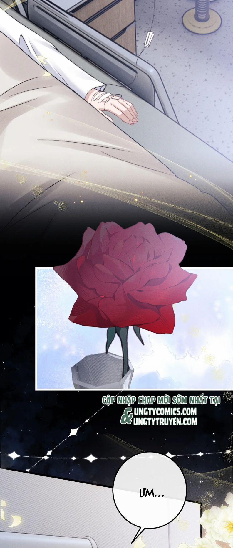 Chấp Sự Thỏ Cụp Tai 10 trang 28