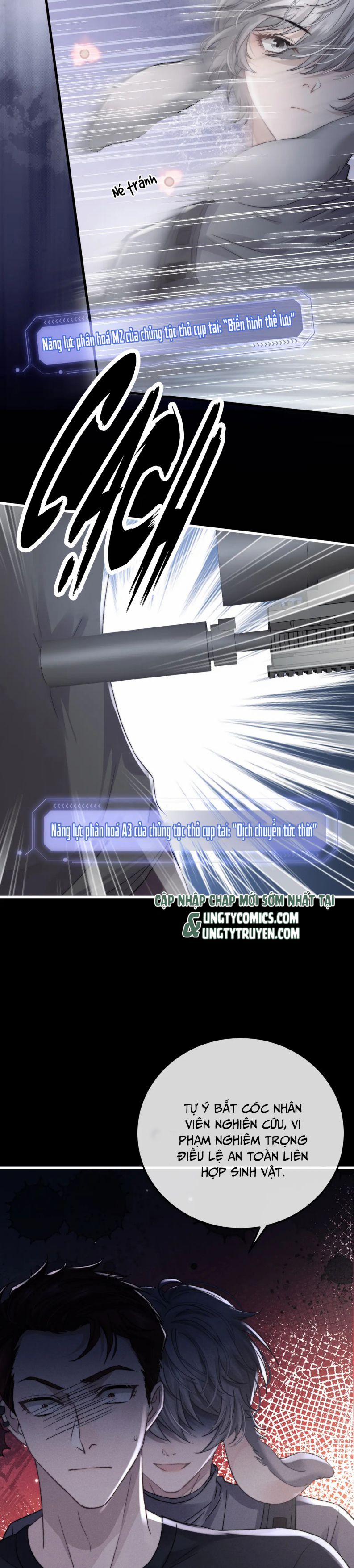 Chấp Sự Thỏ Cụp Tai 10 trang 4