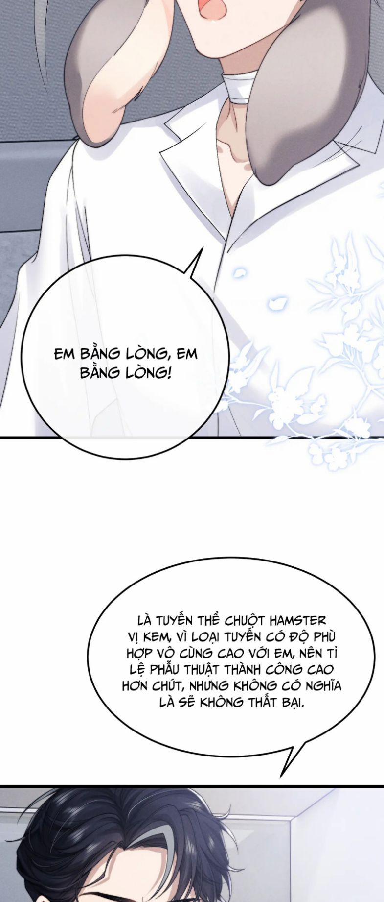 Chấp Sự Thỏ Cụp Tai 11 trang 14