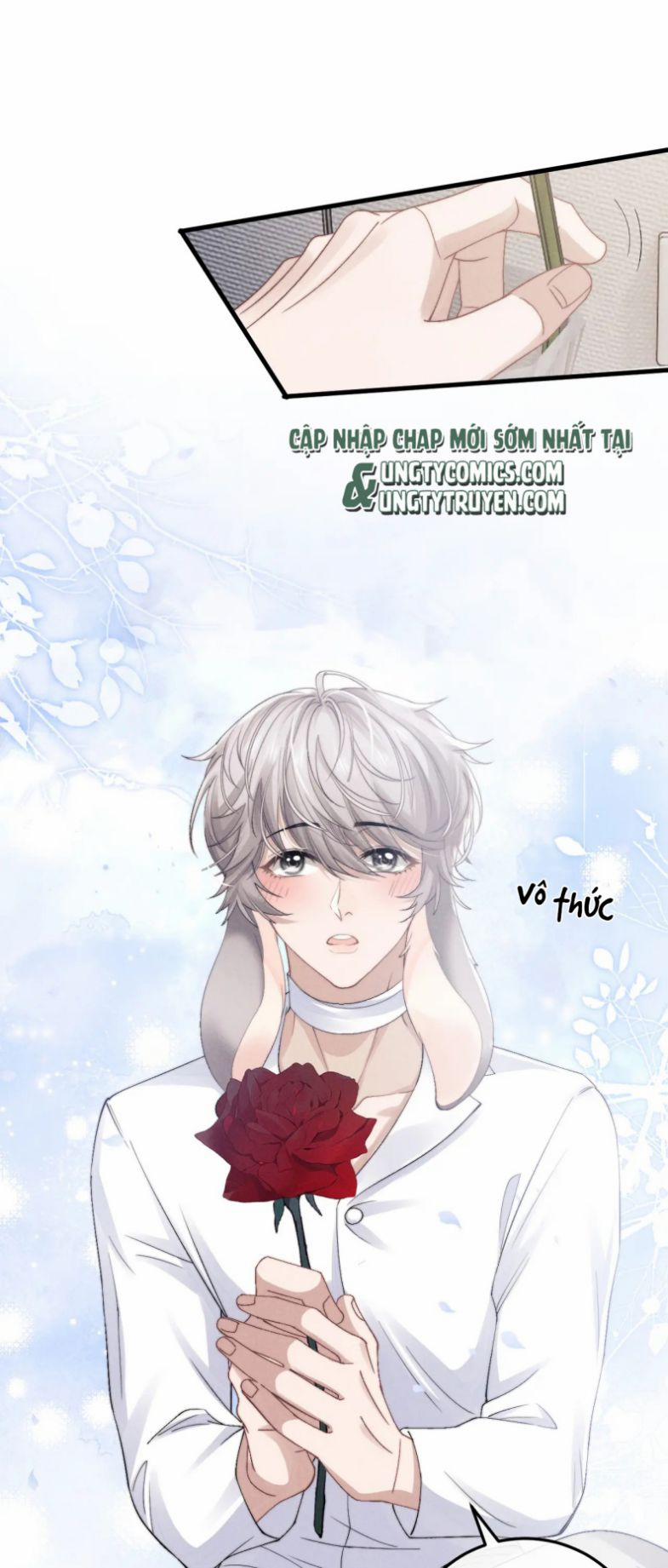 Chấp Sự Thỏ Cụp Tai 11 trang 2