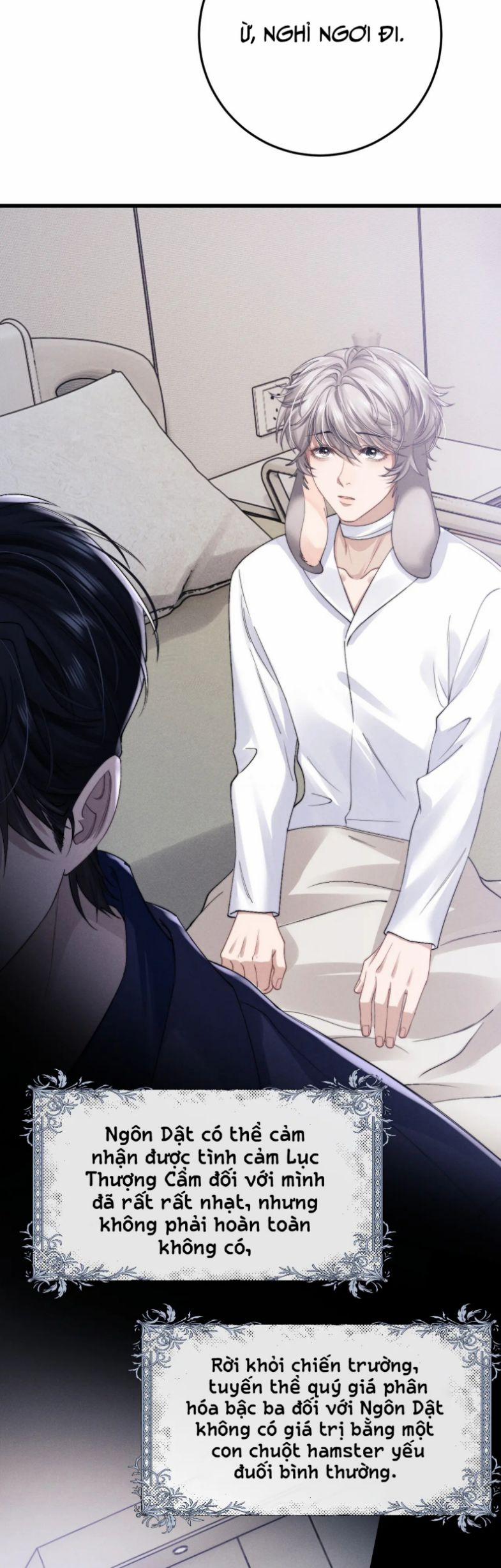 Chấp Sự Thỏ Cụp Tai 11 trang 20