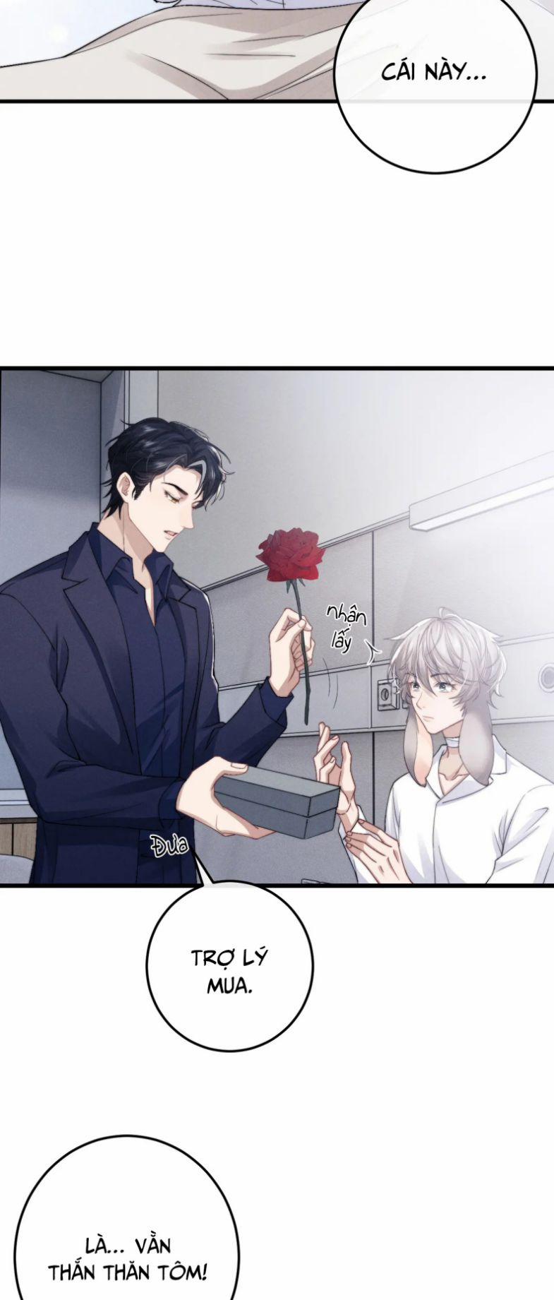 Chấp Sự Thỏ Cụp Tai 11 trang 3