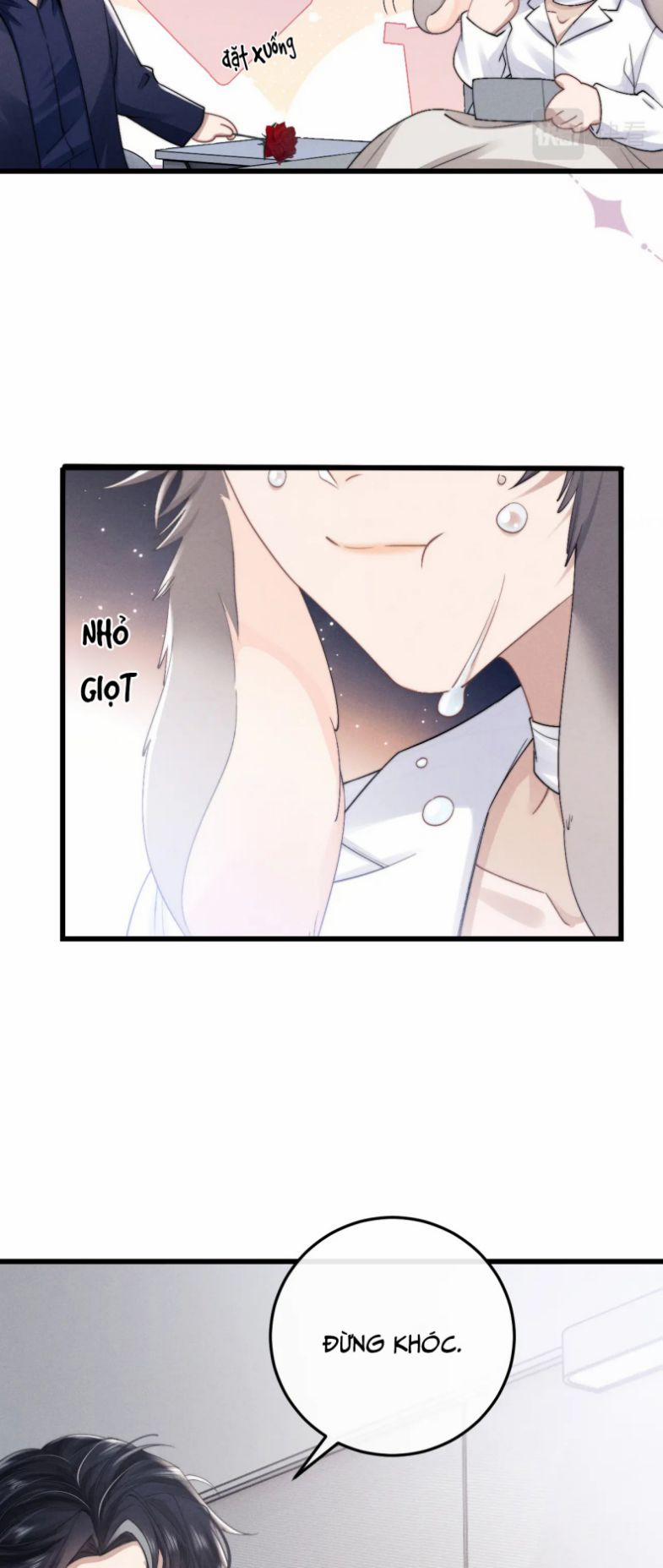 Chấp Sự Thỏ Cụp Tai 11 trang 5