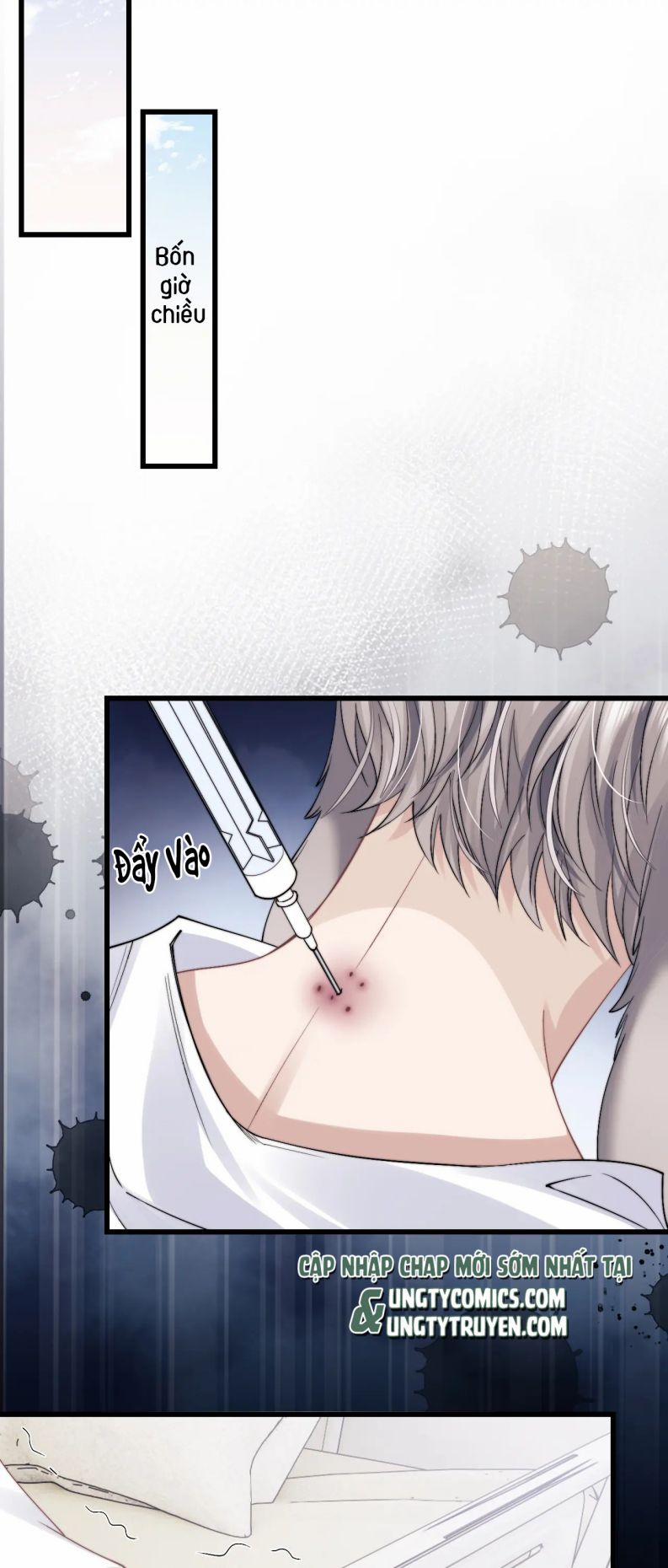 Chấp Sự Thỏ Cụp Tai 12 trang 6